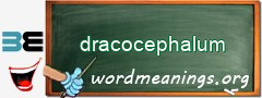 WordMeaning blackboard for dracocephalum